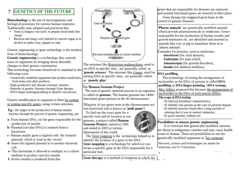 Future of Genetic Engineering Explained | PDF | Genetics | Genetic ...