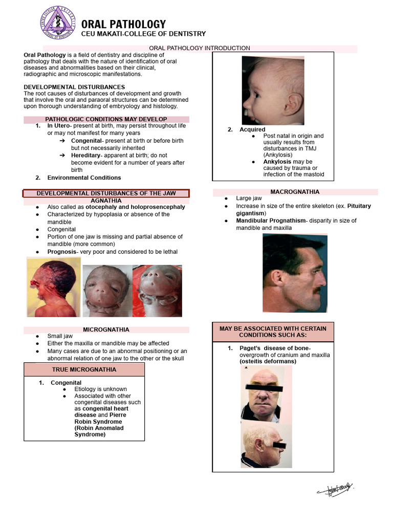 Developmental Disturbances in Oral Pathology | PDF | Human Tooth ...