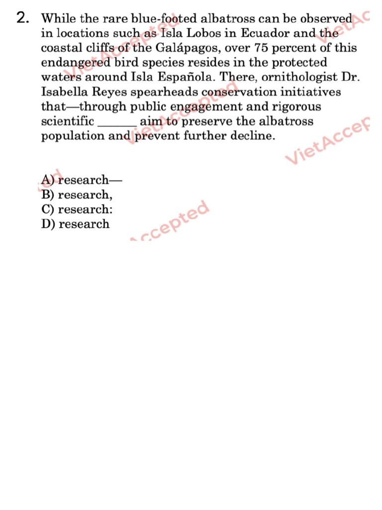Phase 3 Grammar 2 | PDF