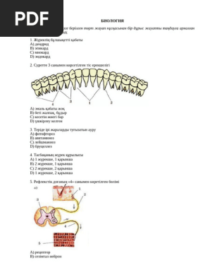 Қызметкерлер мен Настя порно видео