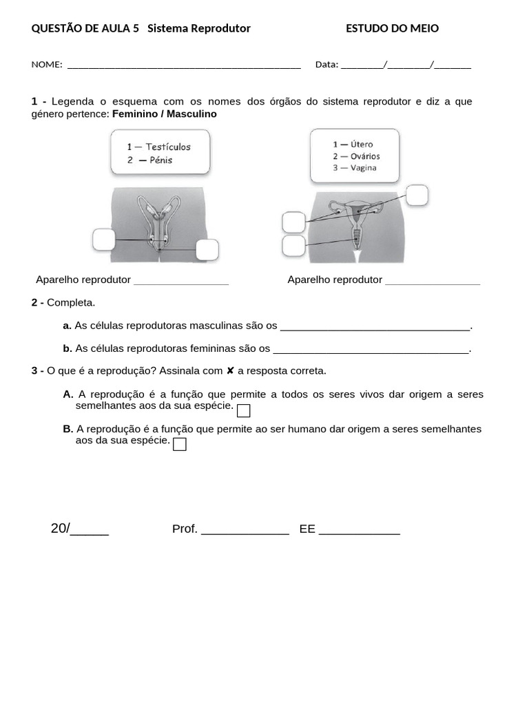 Sistema Reprodutor: Questões de Aula | PDF