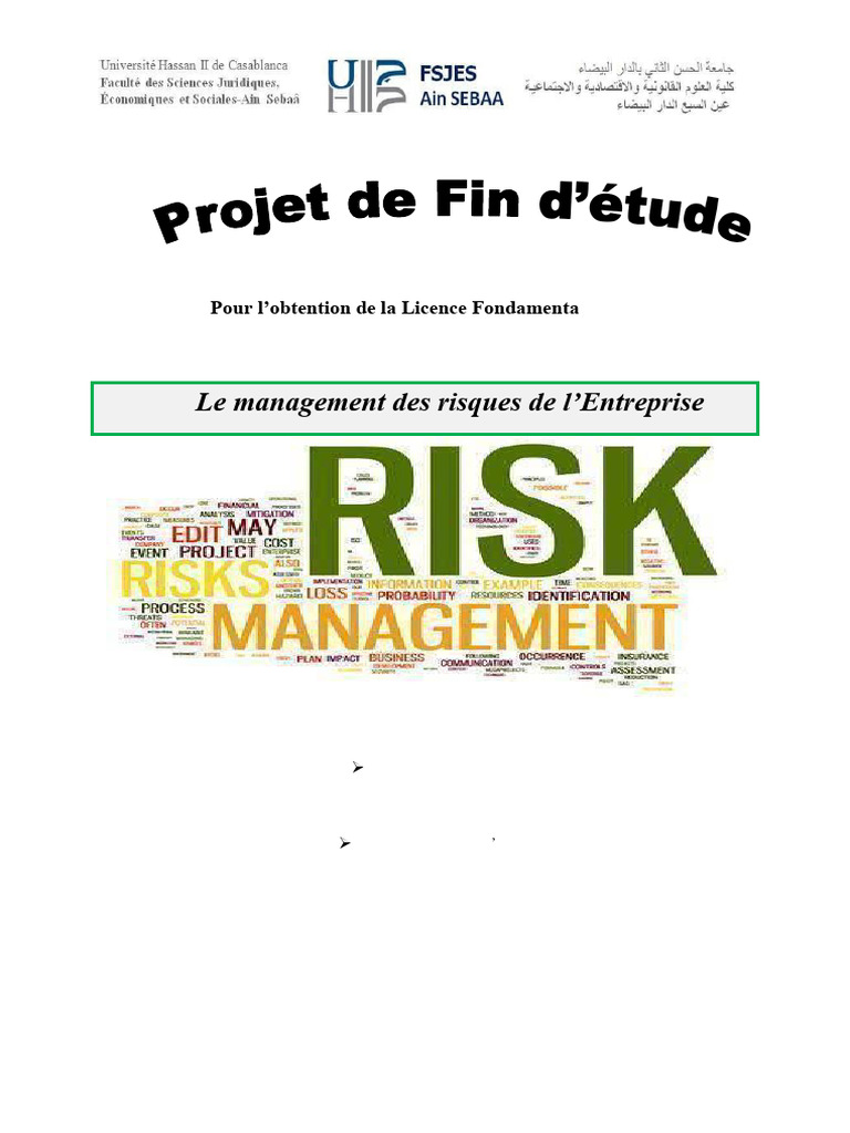 Management des Risques en Entreprise | PDF | Risque | Gestion des risques