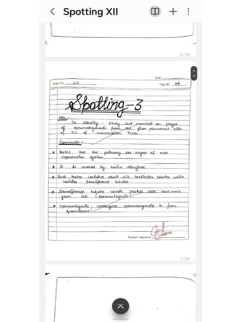 Screenshot - 20250109 - 193107 - Samsung Notes | PDF