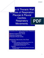 Thorax Thoracic Wall