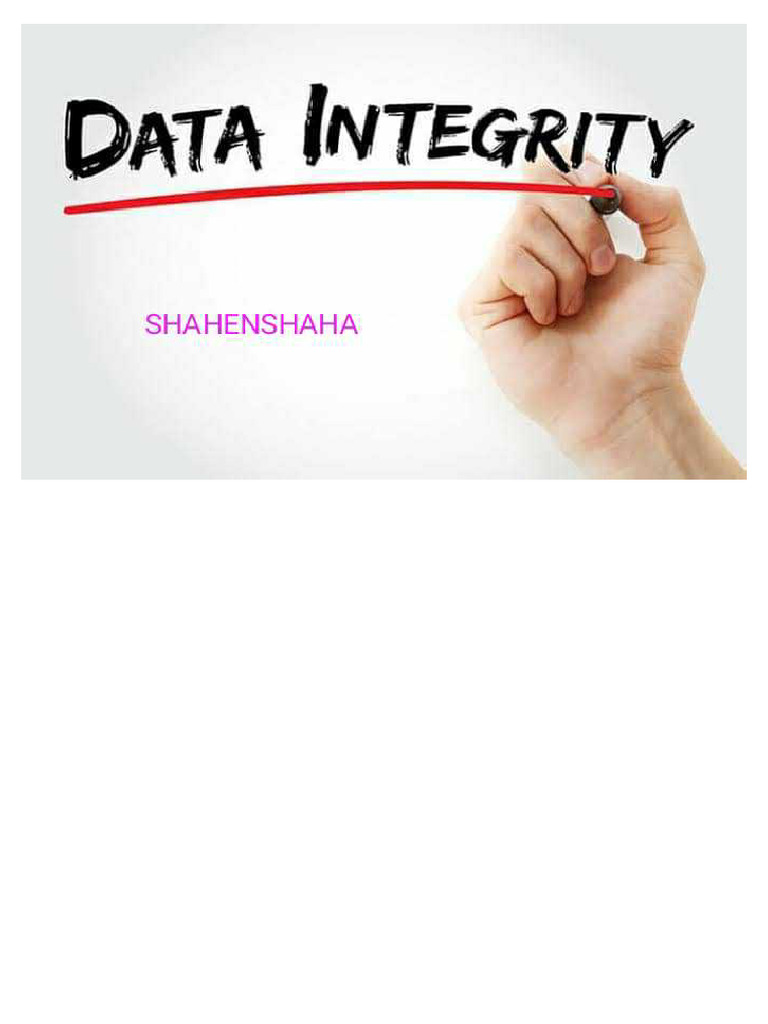 Data Integrity 1622363538 | PDF
