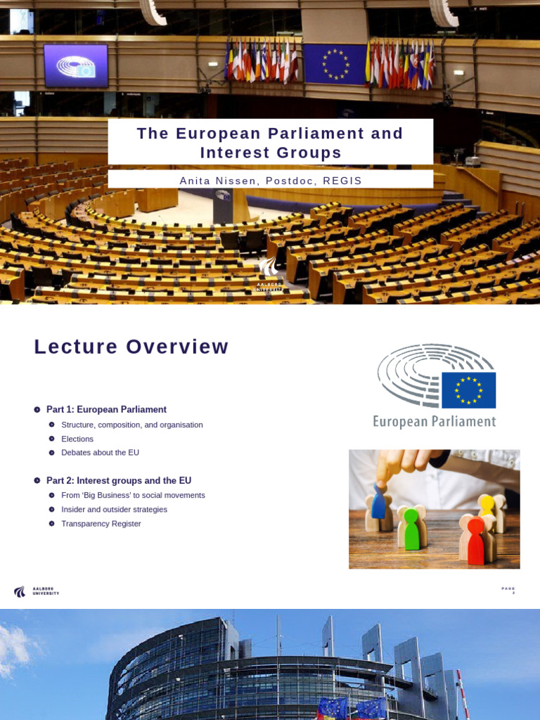 Interest Groups and the EU Dynamics | PDF | European Parliament | World ...