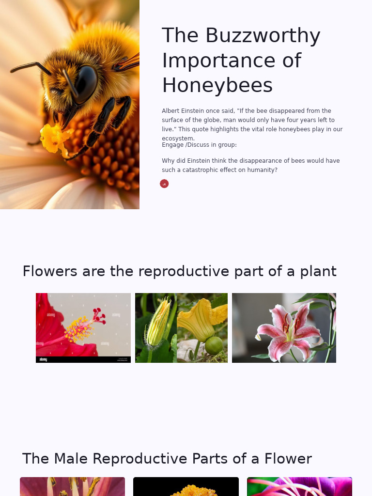 Pollination Pdf Flowers Pollination