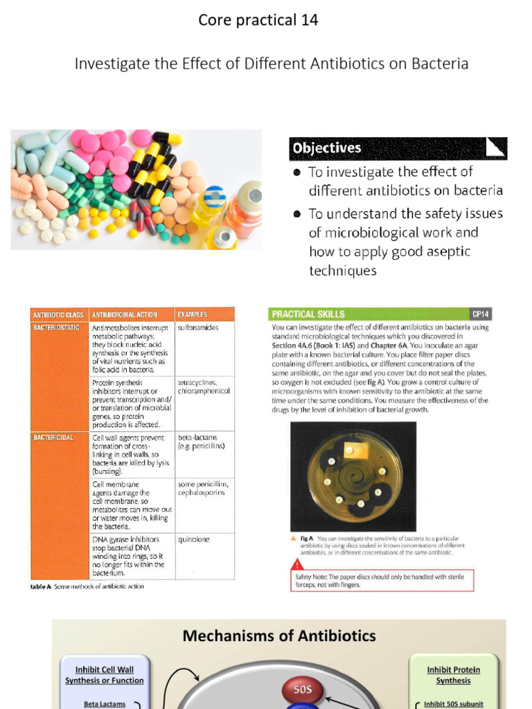 Antibiotics' Impact on Bacterial Resistance | PDF | Bacteria | Medical ...