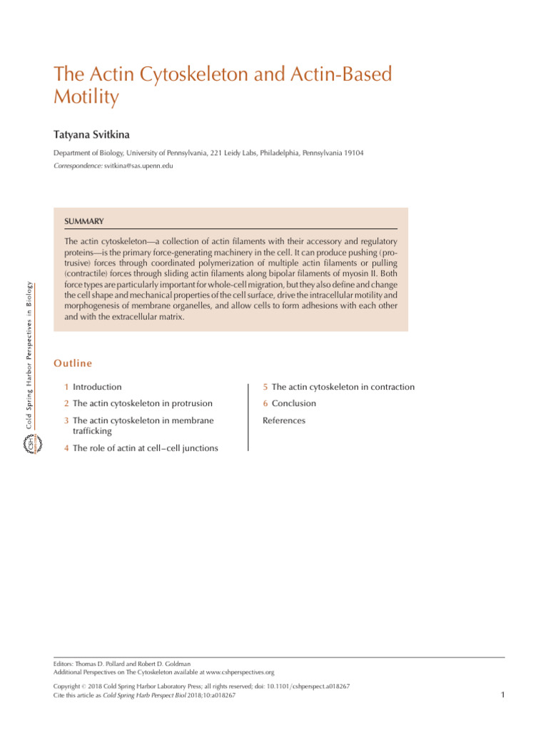 The Actin Cytoskeleton and Actin-Based Motility | PDF | Actin ...