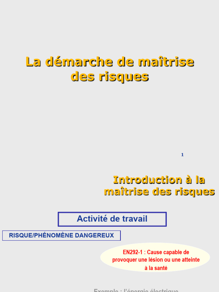 Maîtrise des Risques au Travail | PDF | Risque | Évaluation des risques