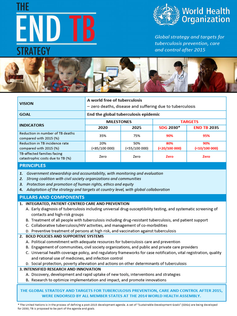End TB Strategy Overview and Goals | PDF | Tuberculosis | Medical ...
