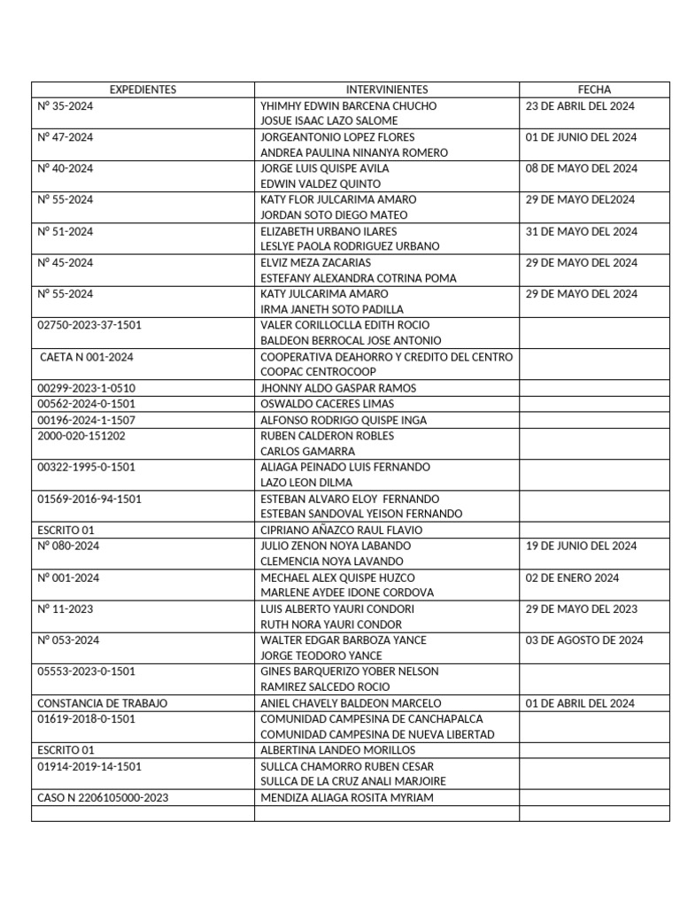 Expedientes y Actores Clave 2024 | PDF