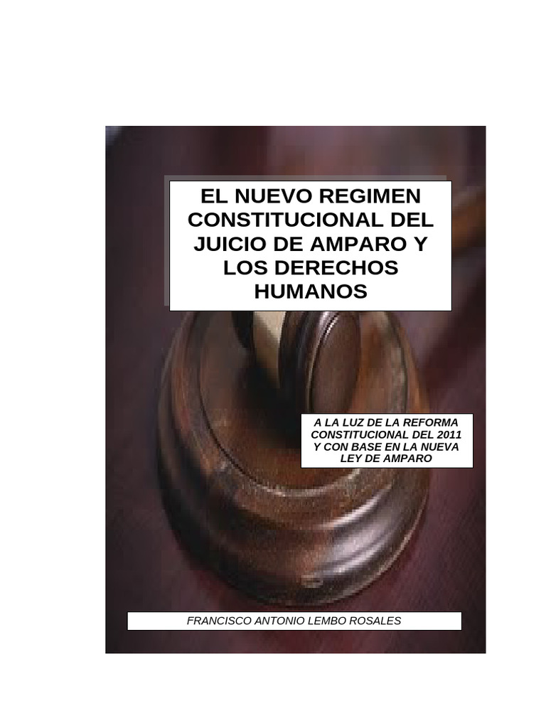 Juicio de Amparo y Derechos Humanos | PDF | Constitución | Derecho ...