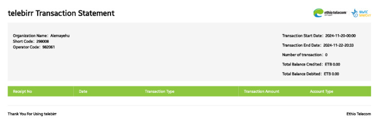 telebirr Transaction Statement Summary | PDF