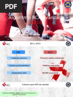RCP 2025 | PDF