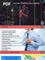 Infarto Agudo Al Miocardio | PDF | Infarto de miocardio | Sistema ...