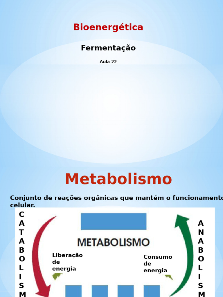 Fermentação: Tipos e Processos Bioenergéticos | PDF | Fermentação ...
