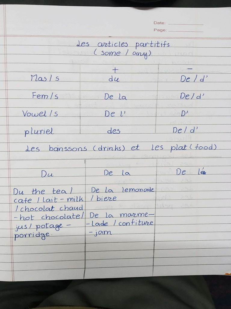 French Combined Notes For Scribd | PDF