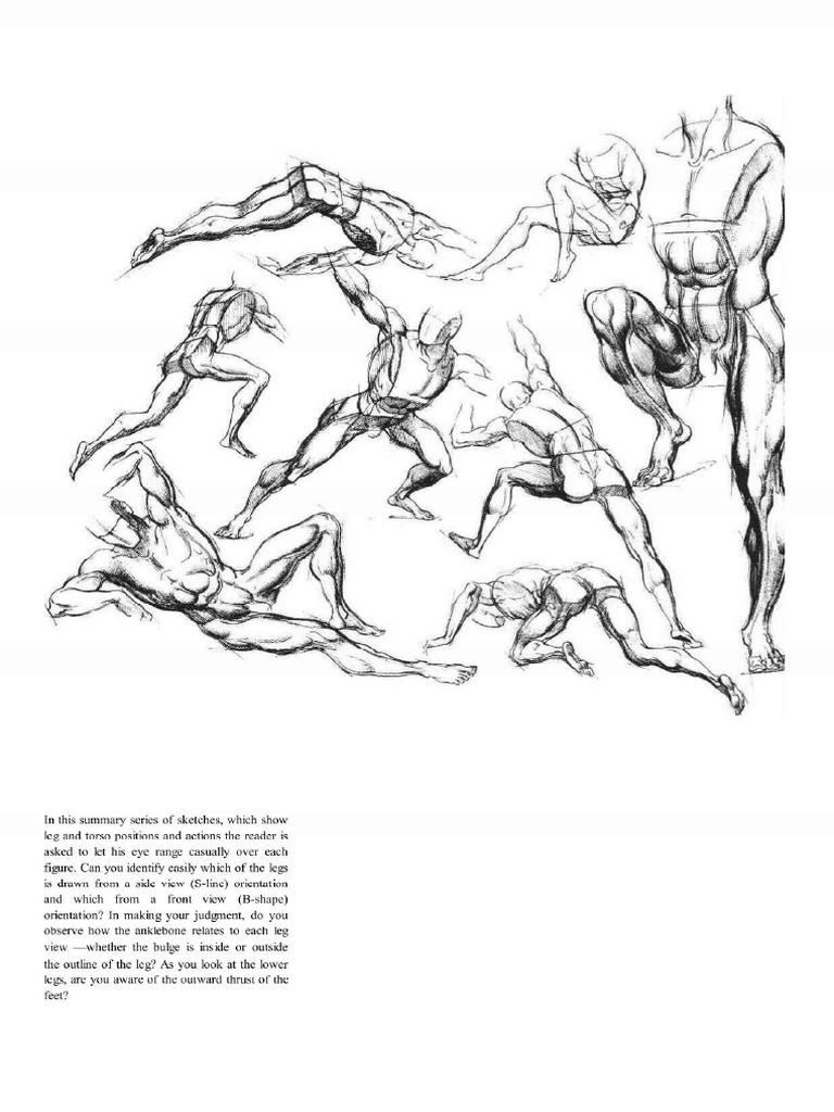 Burne Hogarth - Dynamic Figure Drawing | PDF