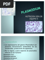 Download Plasmodium Generalidades1 by Nutrilogo Gabriel Telsforo SN81380826 doc pdf