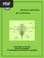Angiosperms Book | PDF | Taxonomy (Biology) | Flowers