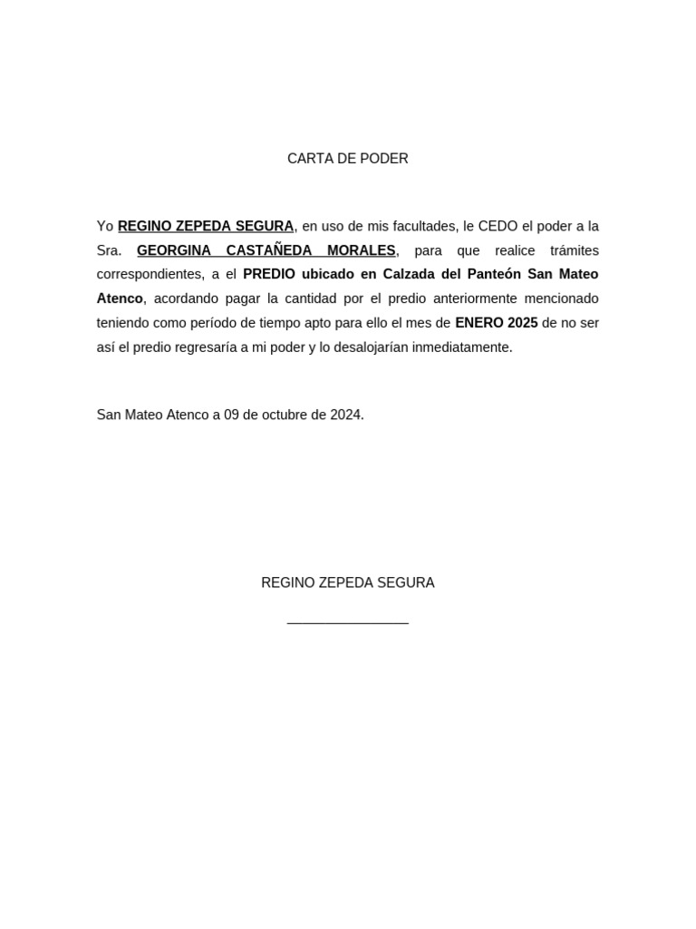 Plantilla Editable de Carta de Poder Simple | PDF