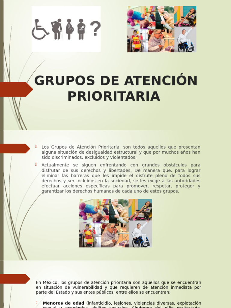 Grupos de Atención Prioritaria en México | PDF | Invalidez | Justicia