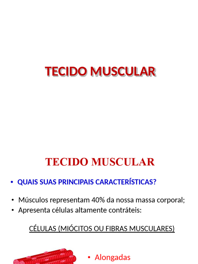 Características e Tipos de Tecido Muscular | PDF | Músculo | Anatomia