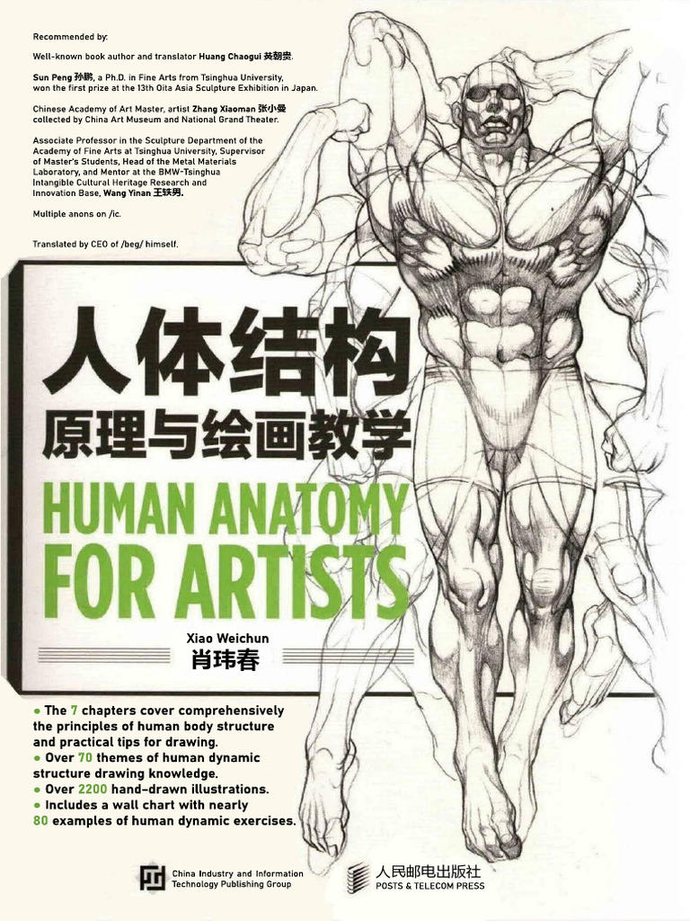 Xiao Weichun - Human Anatomy For Artists | PDF | Vertebral Column | Arm, image size:768x1024