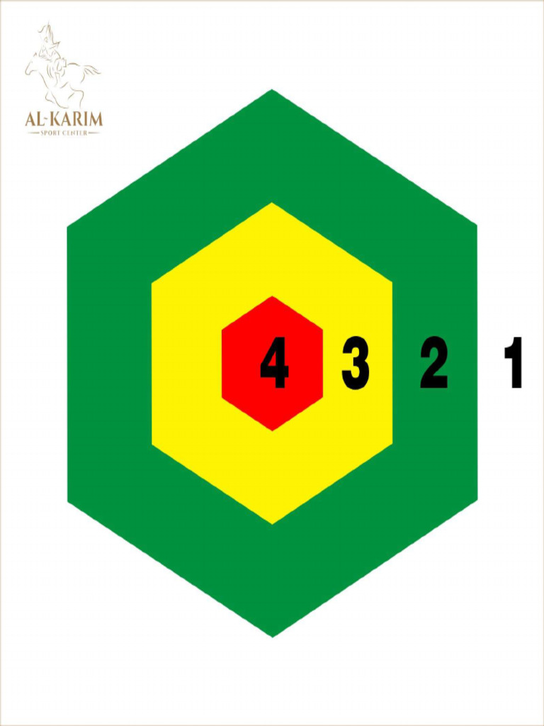 Face Target Pordasi | PDF