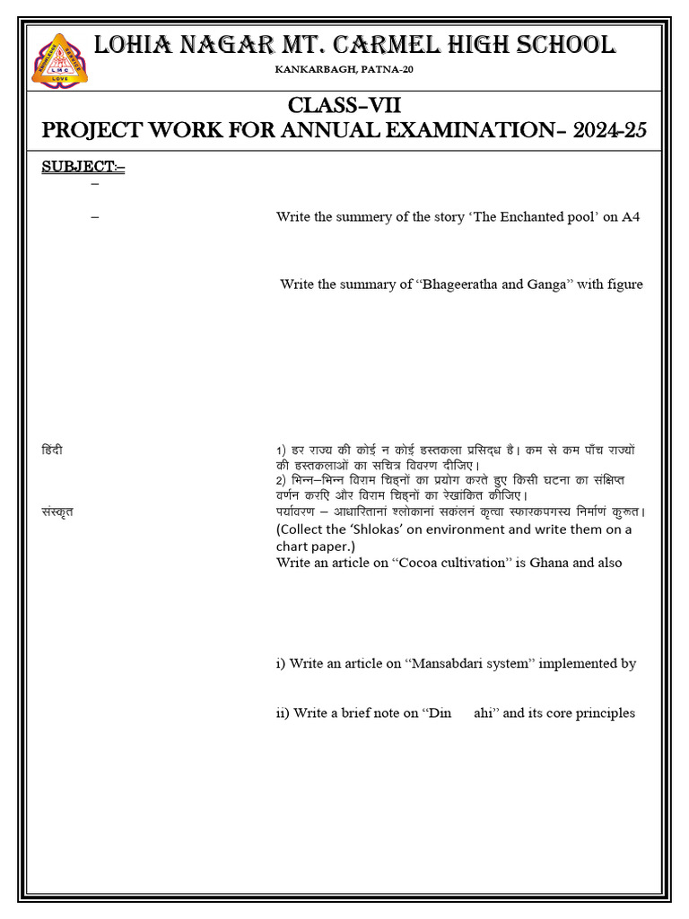 Class VII Annual Project Guide | PDF
