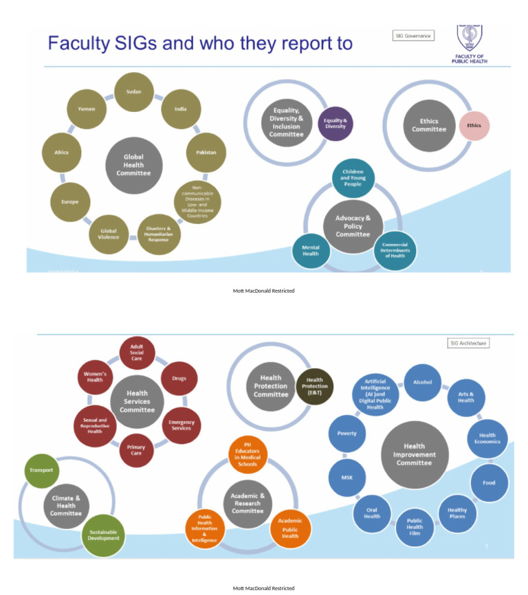 FPH SIGs and Who They Report To | PDF
