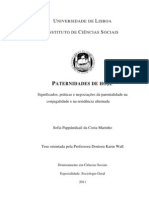  PATERNIDADES DE HOJE Significados, práticas e negociações da parentalidade na  conjugalidade e na residência alternad