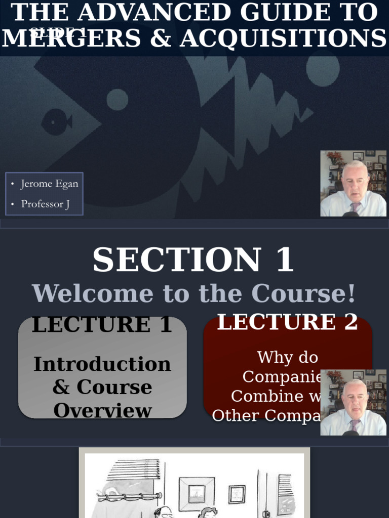Section 1 of 1 | PDF | Mergers And Acquisitions | Economies