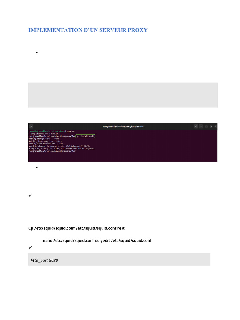 Guide de configuration de Squid Proxy | PDF