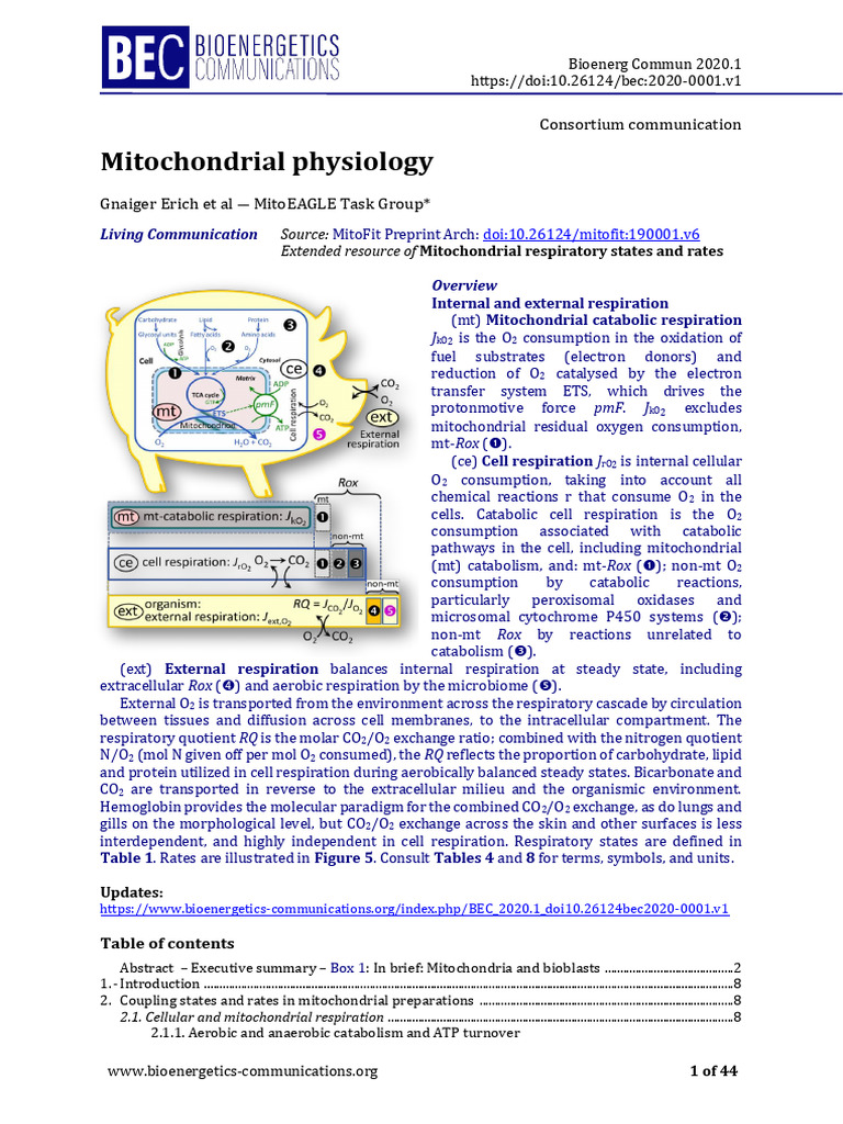 BEC 2020.1 Doi10.26124bec2020-0001.v1 | PDF | Mitochondrion | Adenosine ...