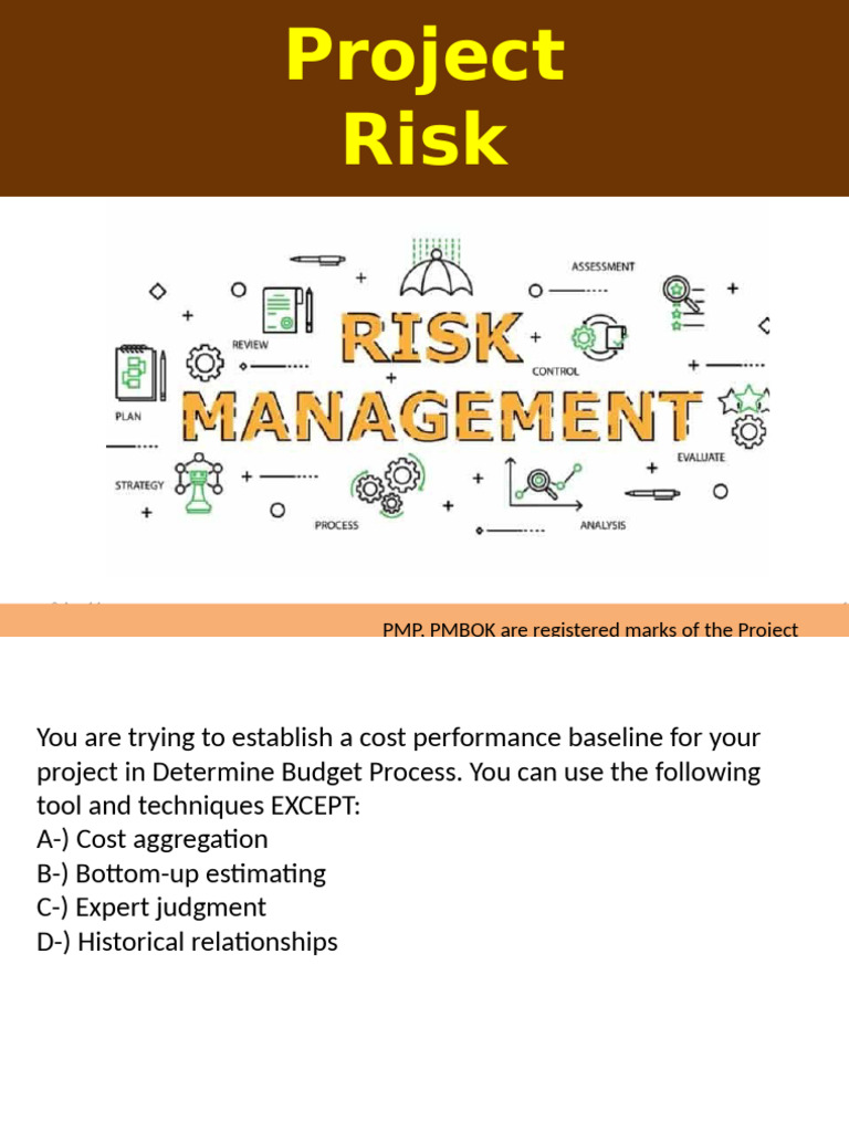 10 Chapter Risk Management | PDF | Risk | Project Management