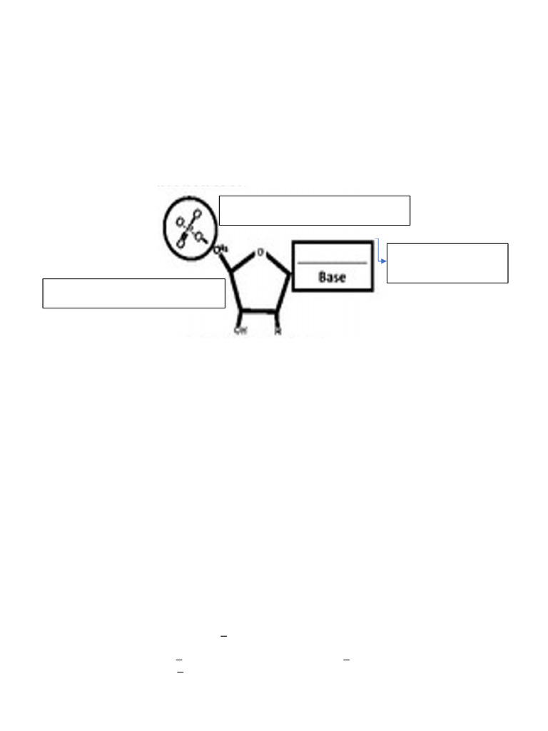 Understanding DNA Structure Activity | PDF