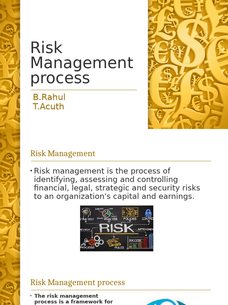 Risk Management Process Overview | PDF | Risk | Risk Management