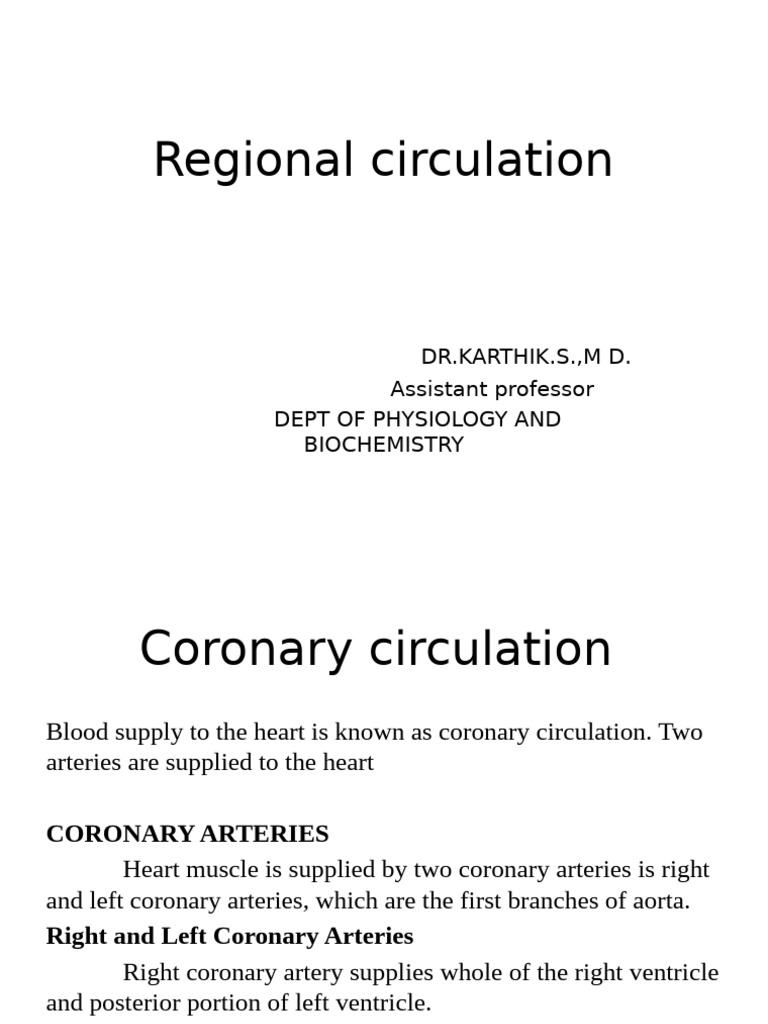 02 Regional Circulation | PDF | Coronary Circulation | Heart