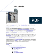 Derechos de Los Animales