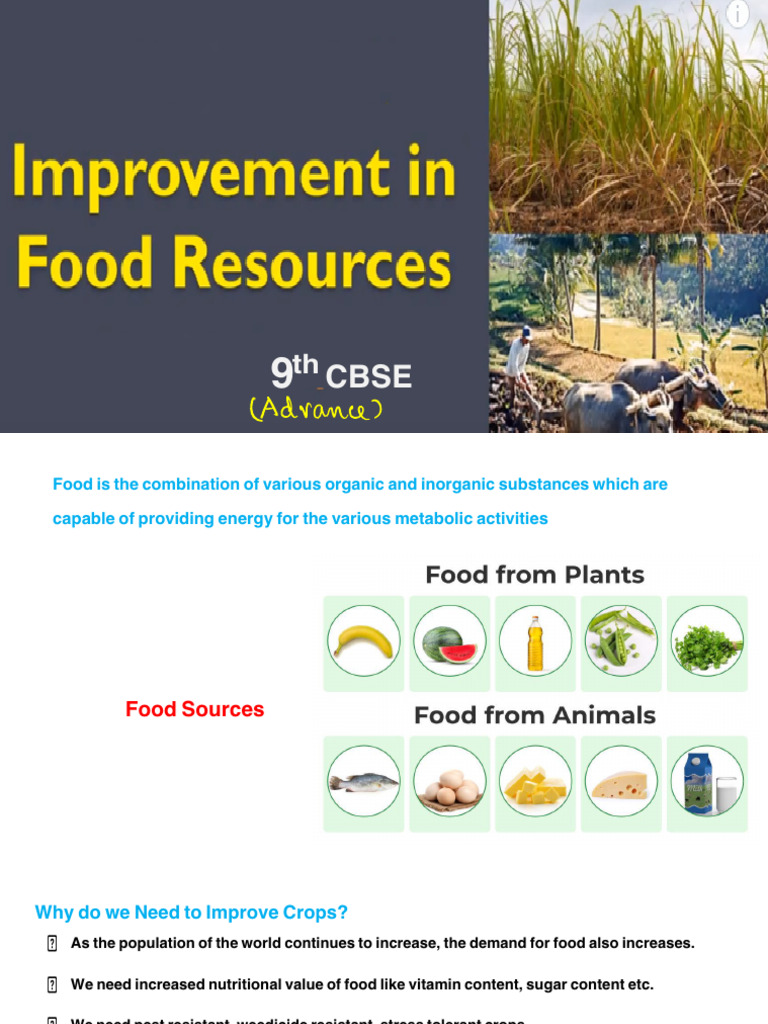 Improvement in Food Resources - 9th Advance | PDF | Honey Bee | Beehive