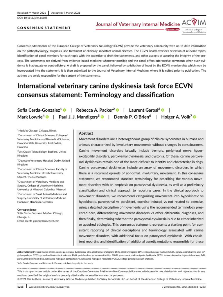 JVIM-35-1218 Consensus DP | PDF | Striatum | Basal Ganglia