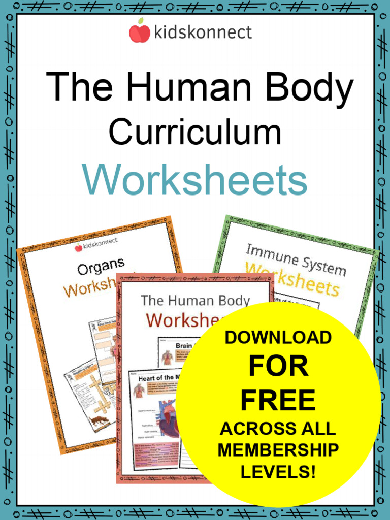 Teaching the Human Body Effectively | PDF | Human Body | Anatomy