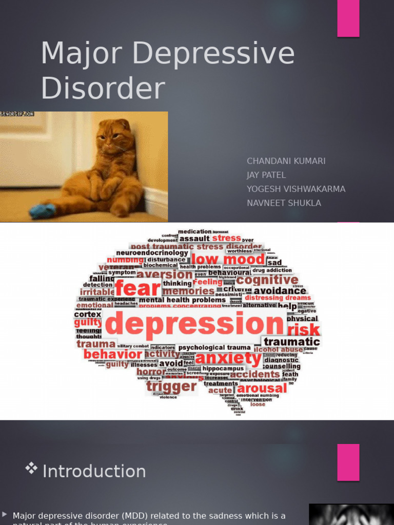 Understanding Major Depressive Disorder | PDF | Major Depressive ...