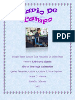Diario de Campo Febrero PDF