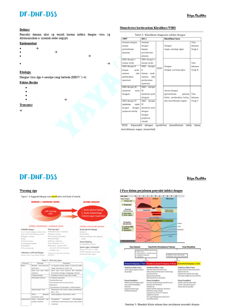 Panduan Lengkap Dengue: DF, DHF, DSS | PDF