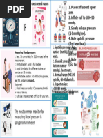 Heart Foundation BP Recording PDF | PDF | Blood Pressure | Hypertension