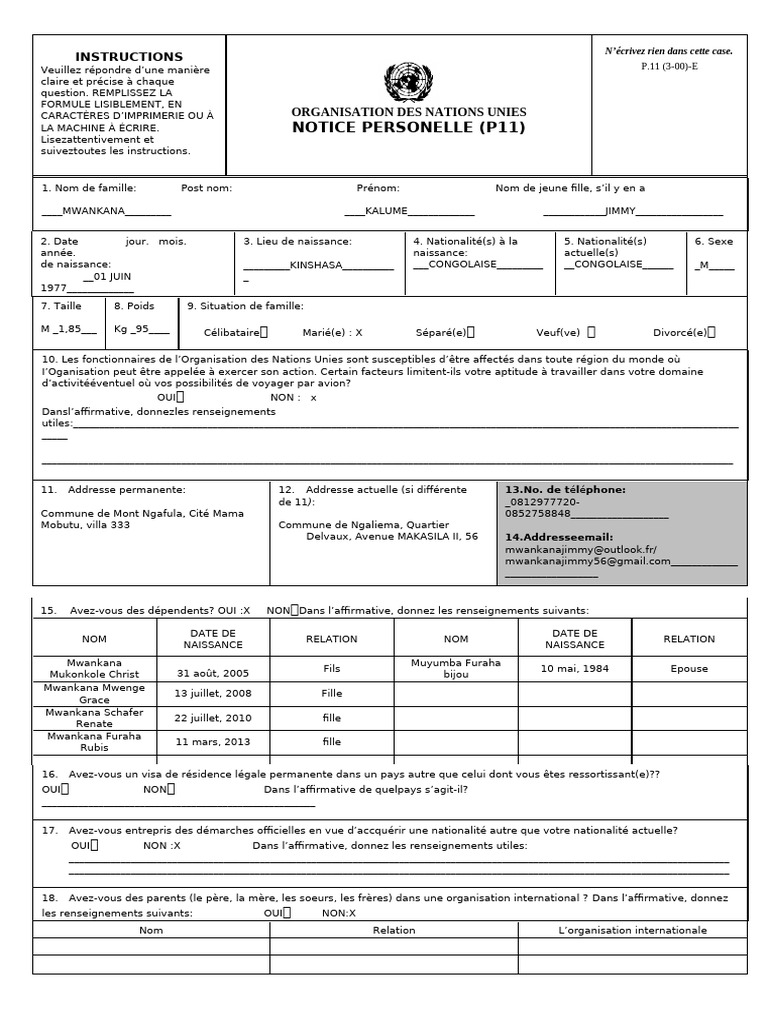 Fiche de renseignement INPP Kinshasa | PDF | Élections | République ...