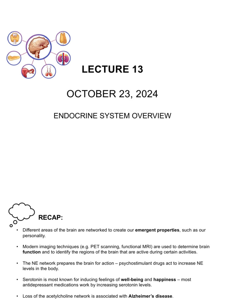 Endocrine System Overview And Hormones Pdf Pituitary Gland Growth